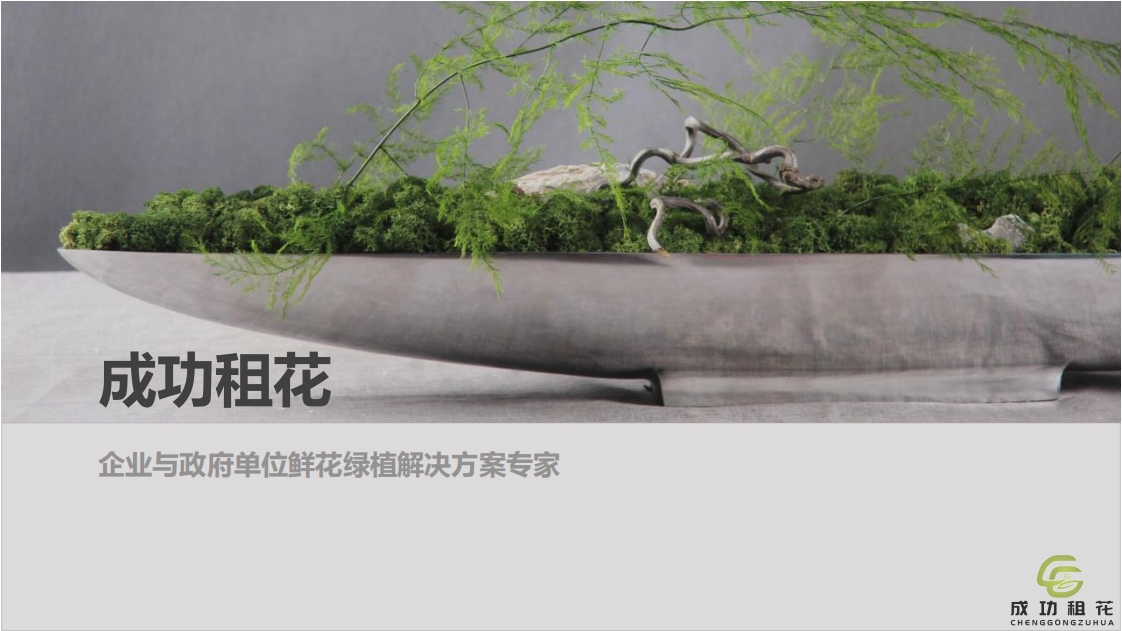 成功租花简介