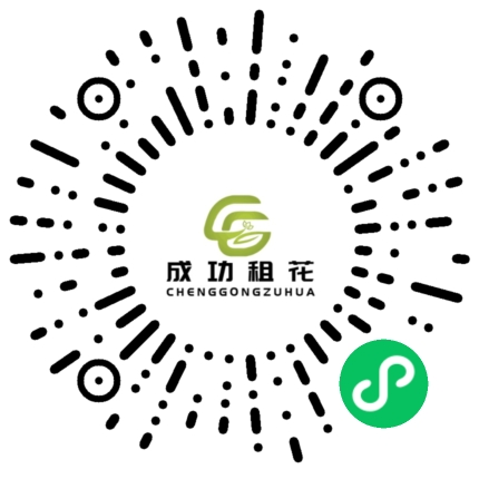 小程序二维码